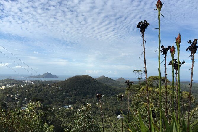 Port Stephens Private Tour From Sydney, with Dolphin/ Whale Cruise Options - FAQ