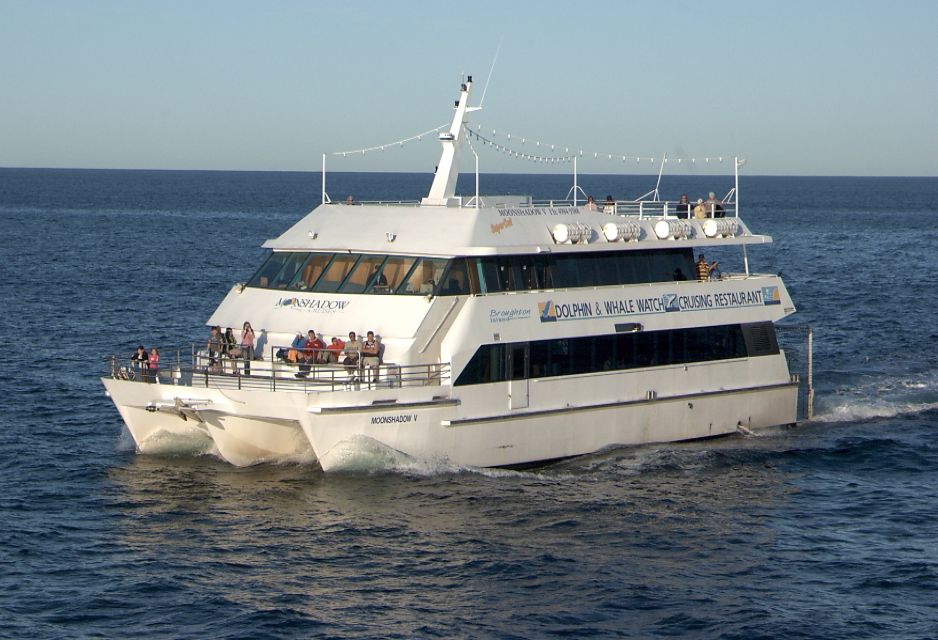 Port Stephens Small Group Dolphins & Dunes Combo - Key Points