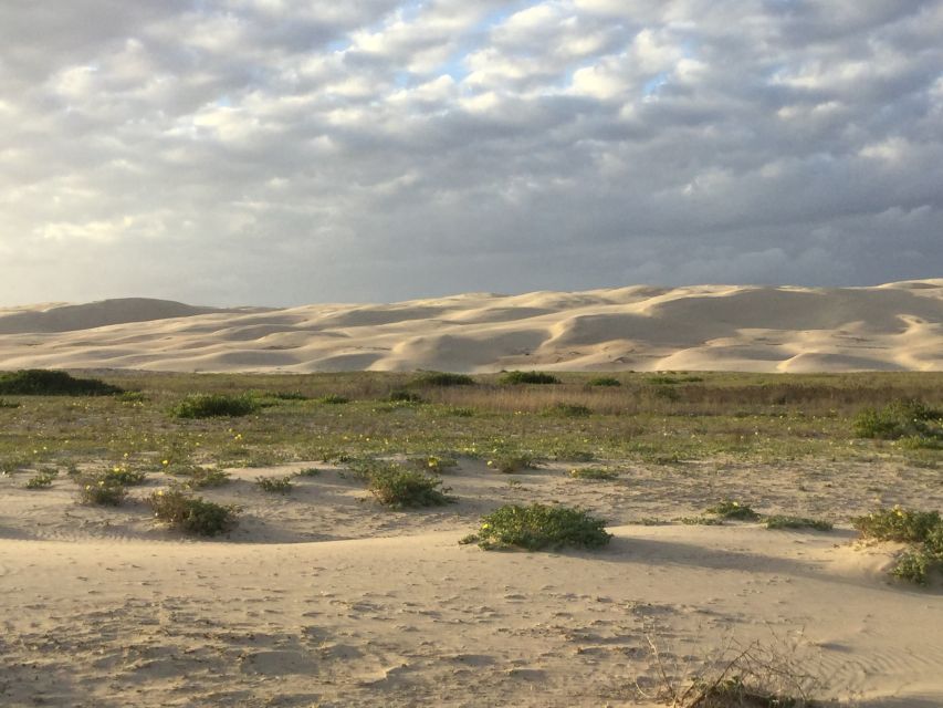 Port Stephens: Stockton Sand Dunes 4WD Tag-Along Tour - Inclusions