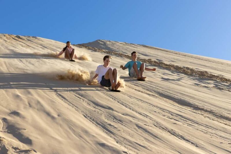 Port Stephens: Unlimited Sandboarding & 4WD Sand Dune Tour - What Is This Tour All About?