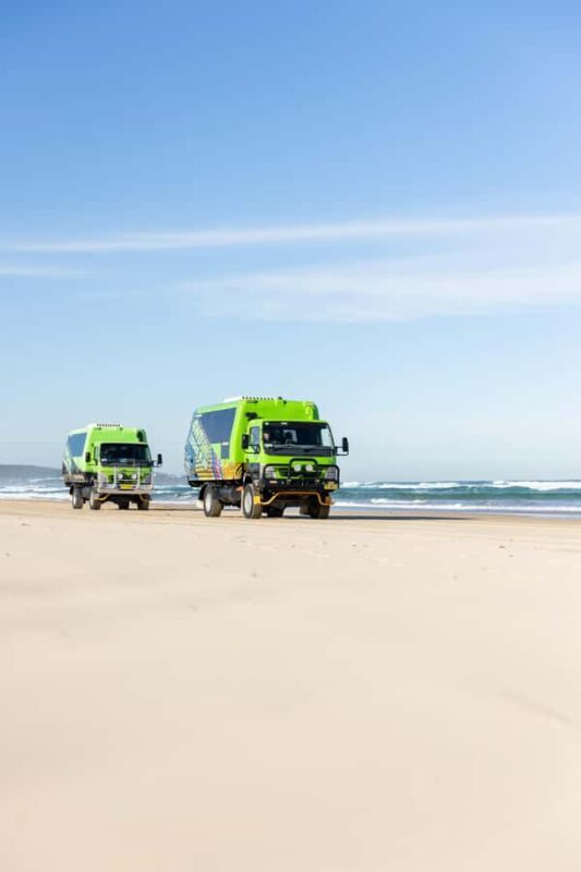 Port Stephens: Unlimited Sandboarding & 4WD Sand Dune Tour - Who Will Enjoy This Tour?