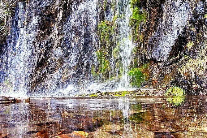 Port Whittier Day Tour - Wilderness, Wildlife & Ring of Glaciers - Practicalities and What to Expect