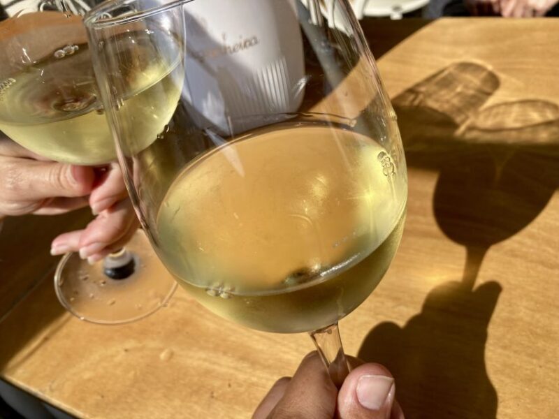 Port wine & wine walking tour with culture - max 8 pax - Final Thoughts