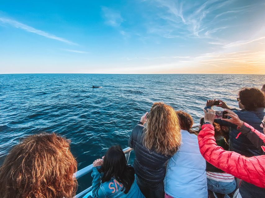 Portimão: Benagil Caves & Dolphins Watching With Biologist - Customer Reviews