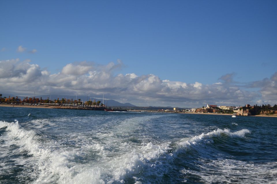 Portimao: Boat Trip to the Benagil Cave - Customer Reviews