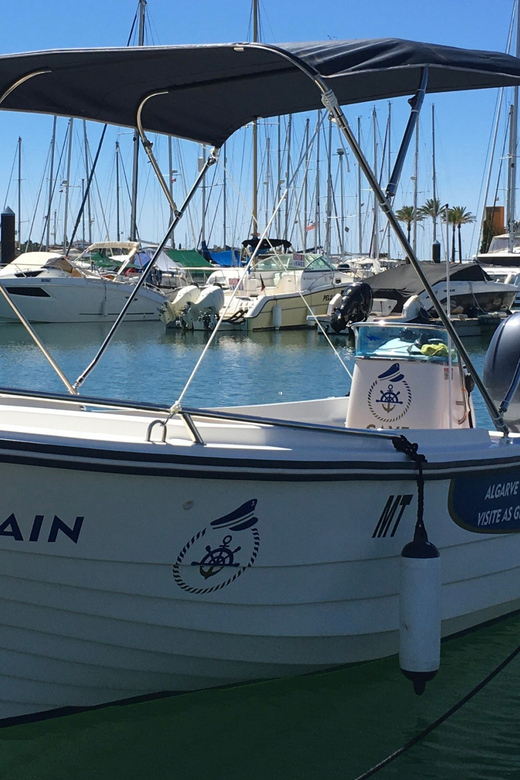 Portimão: Caves, Benagil and Algarve Coastline Boat Tour - The Sum Up  