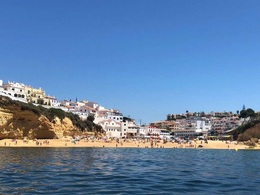 Portimão: Dolphin Watching on the Algarve Coast - Booking Information