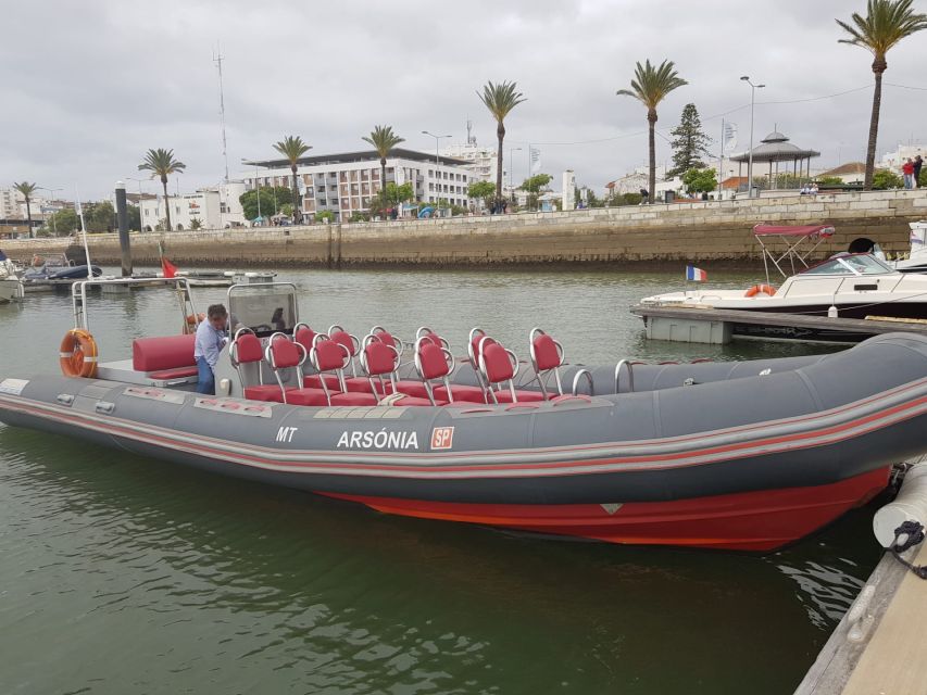 Portimão: Dolphin Watching on the Algarve Coast - Highlights of the Tour