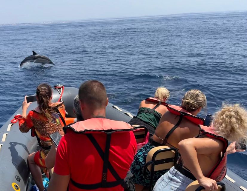 Portimão: Dolphins and Marine Life Boat Tour With Biologist - Highlights of the Tour