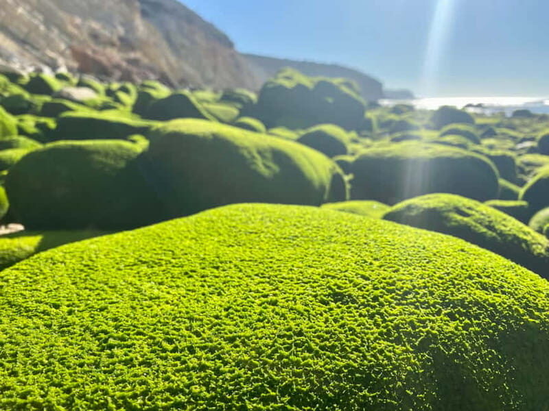 Portimão: Mindful Hike Experience by el Sol-Lifestlye - Who Should Consider This Tour?
