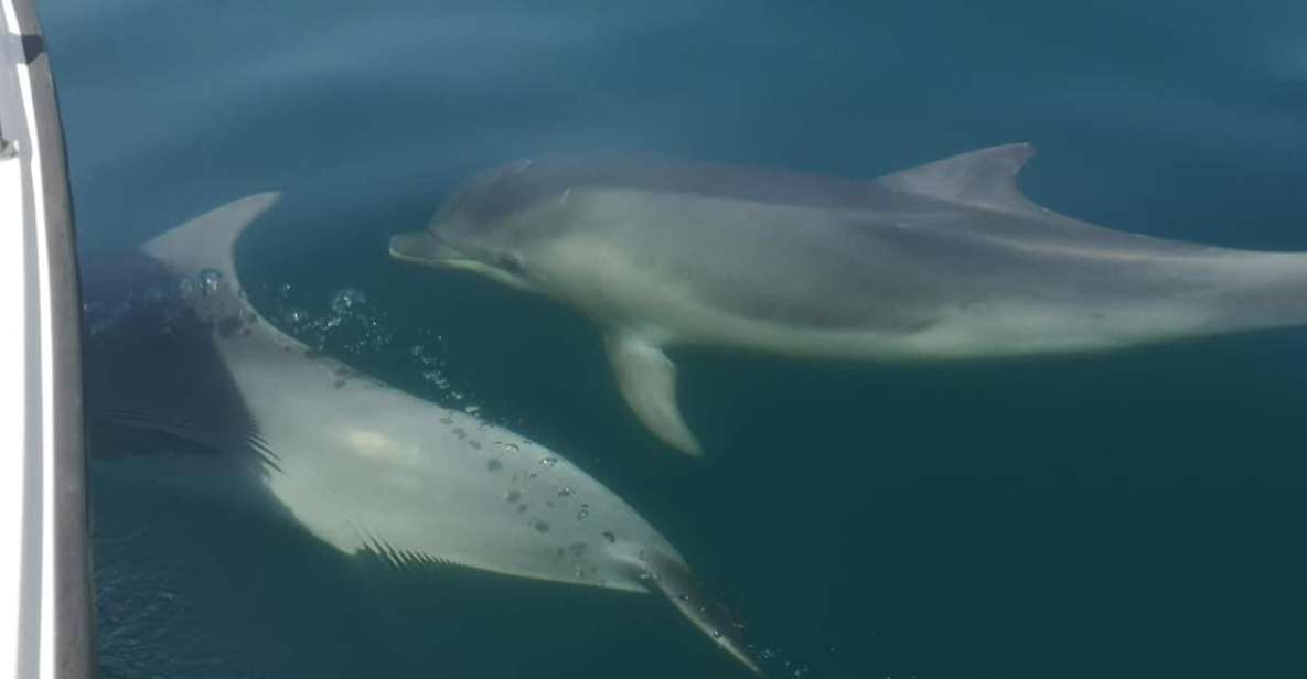 Portimão: Sunrise Private Tour - Inclusions and Meeting Point