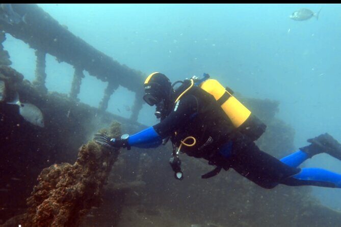 Portimão: Wreck Diving in the Ocean Revival Park - What You Can Expect on This Wreck Diving Tour