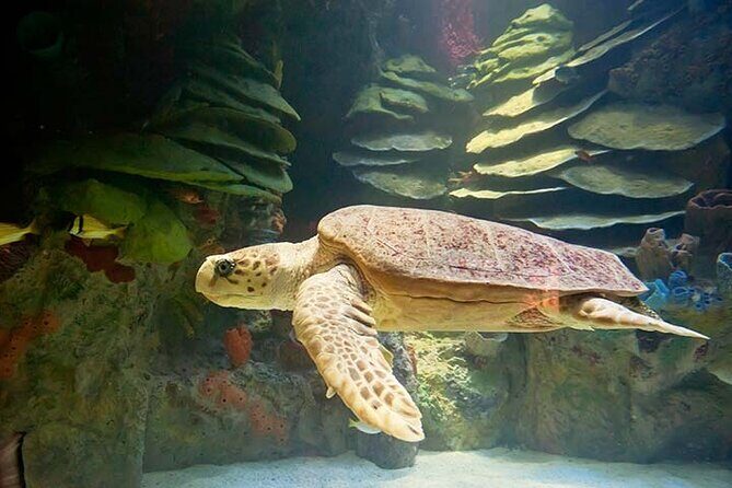 Portland Acadia National Park 3-Day Tour from Boston MA - The Experience in Practice: What Travelers Are Saying