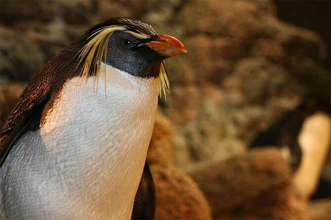 Portland Acadia National Park 3-Day Tour from Boston MA - Is This Tour Worth It?