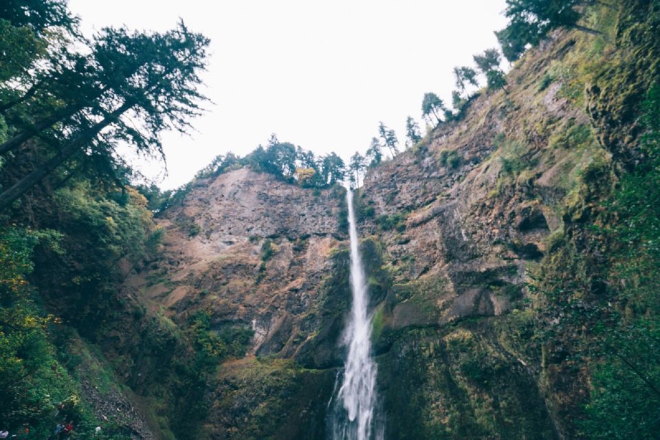 Portland: Columbia River Gorge Waterfalls Afternoon Tour - Customer Reviews