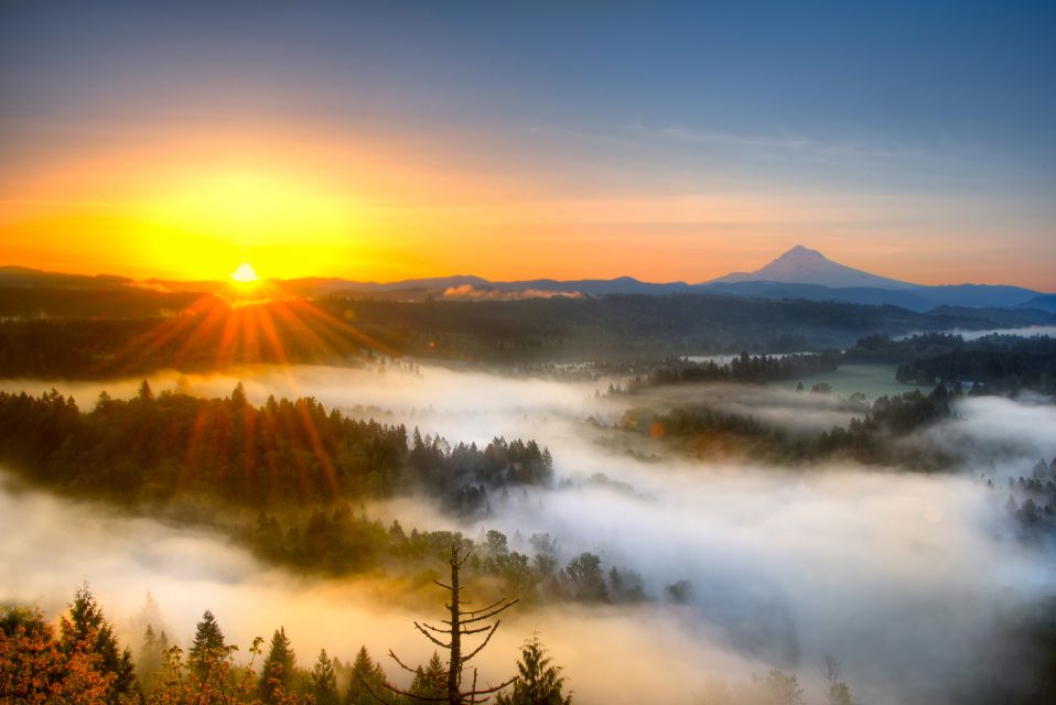 Portland: Flightseeing Tour Mount Hood - Description