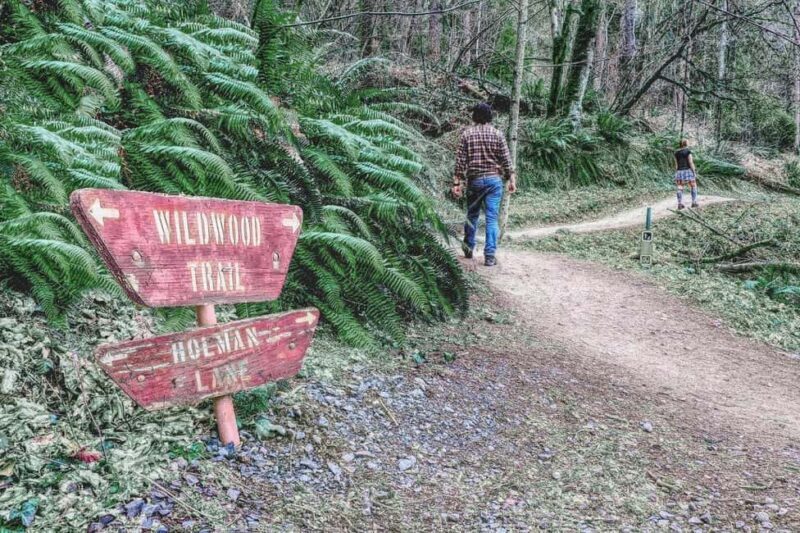 Portland: Forest Park Guided Hike with Witches Castle - Discovering Portland’s Forests and Hidden Gems