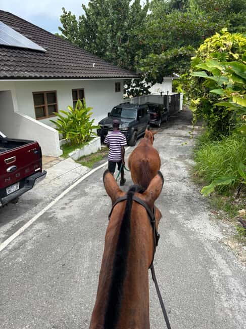 Portland, Jamaica: Horseback Riding Tour - Final Thoughts