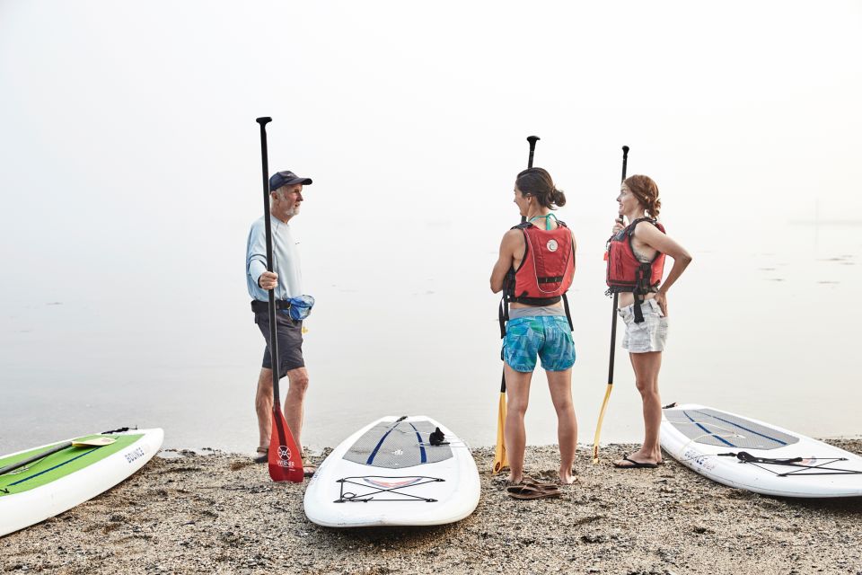 Portland, ME: Guided Harbor Paddleboard Tour - Important Reminders