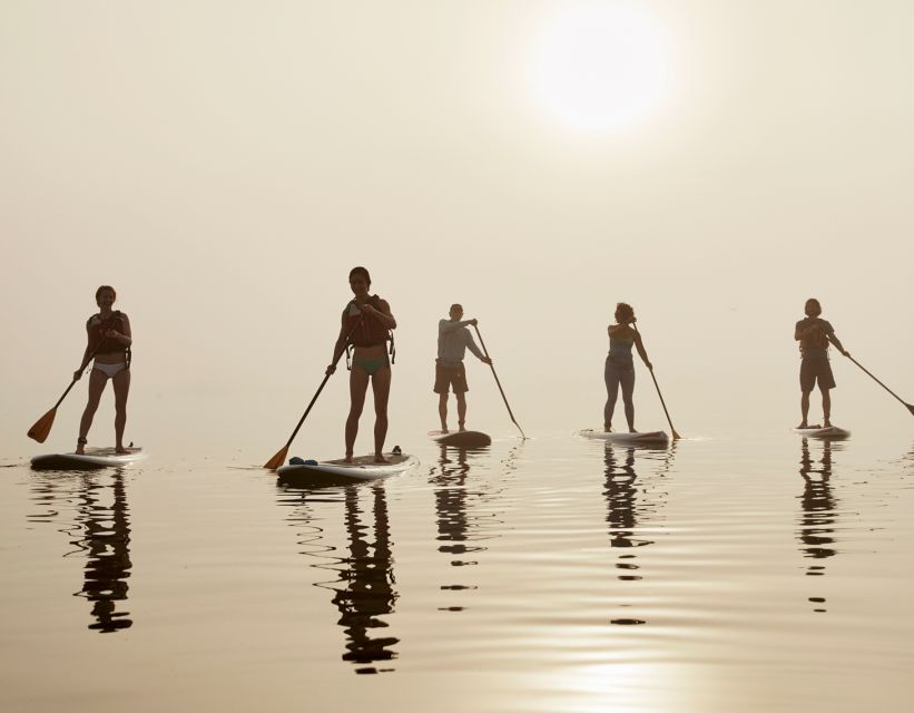 Portland, ME: Guided Harbor Paddleboard Tour - Key Points