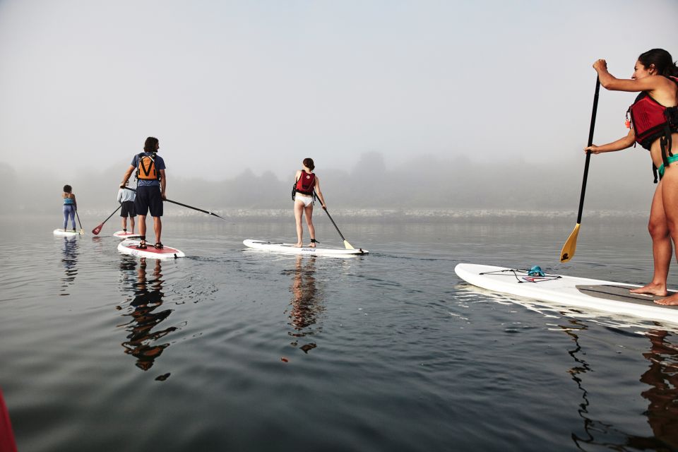 Portland, ME: Guided Harbor Paddleboard Tour - Participant Requirements