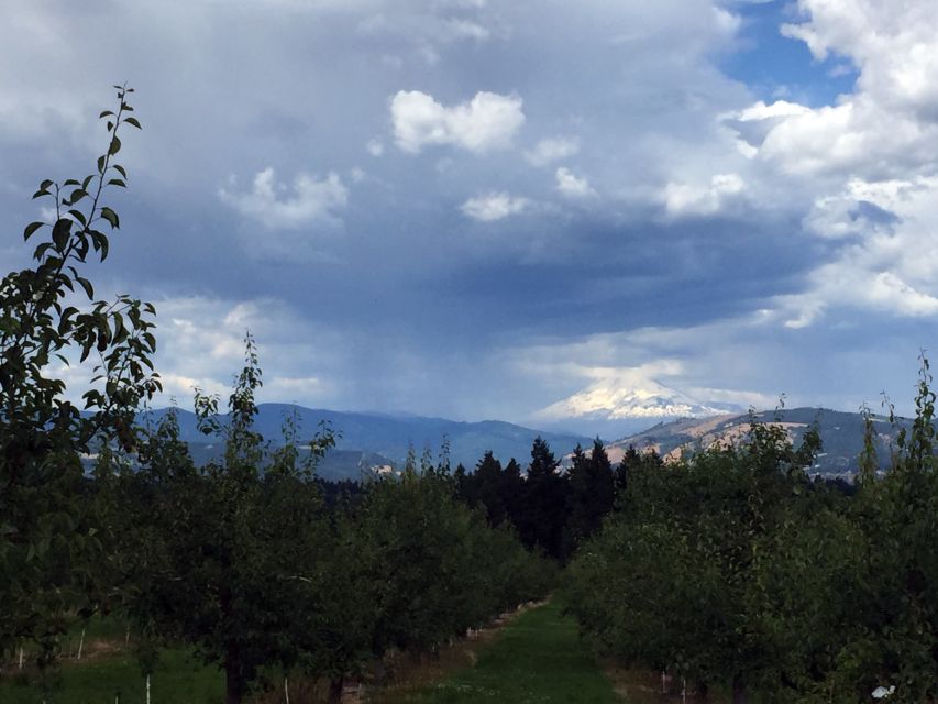 Portland: Mount Hood Wine and Waterfalls Full-Day Tour - Price and Inclusions