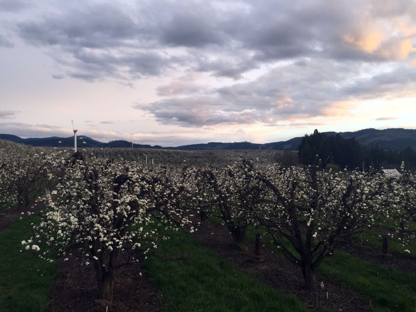 Portland: Mount Hood Wine and Waterfalls Full-Day Tour - Frequently Asked Questions