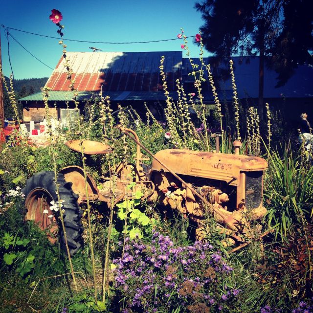 Portland: Mt. Hood Day Tour - Inclusions