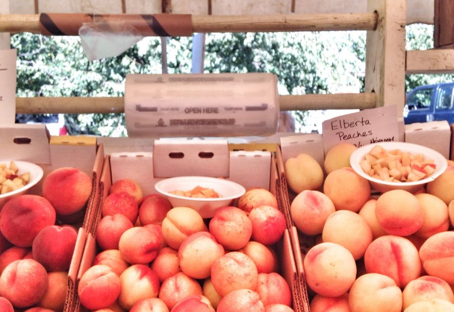 Portland: Mt. Hood Day Tour - Weather and Attire