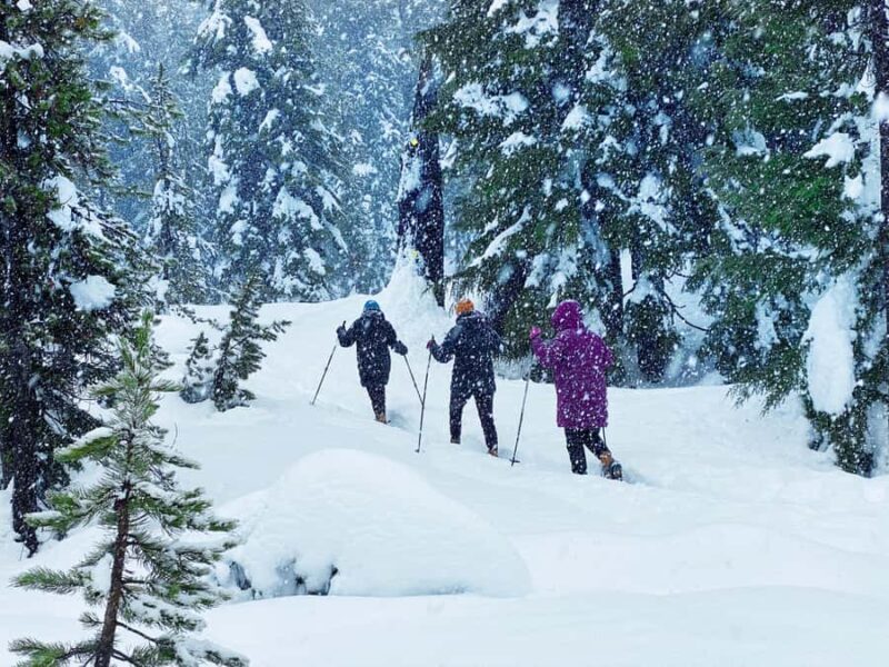 Portland: Mt. Hood Snowshoe Adventure with Lunch - Practical Aspects and Value