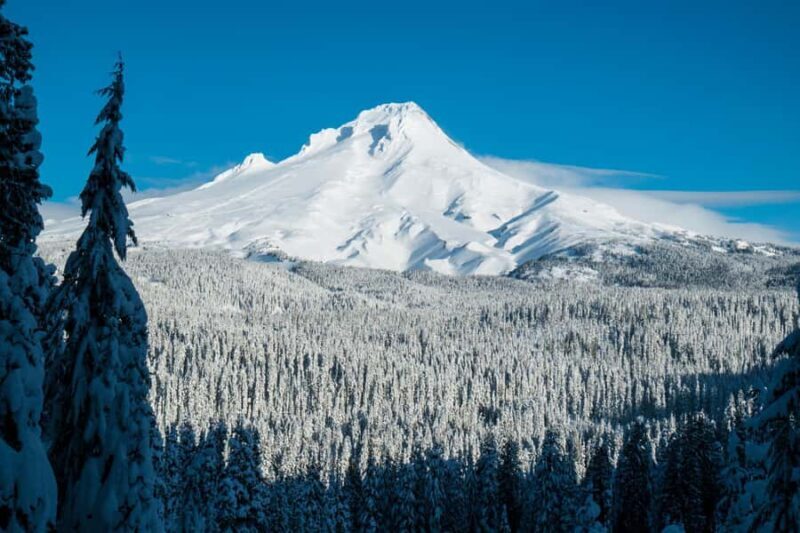 Portland: Mt. Hood Snowshoe Adventure with Lunch - Who Should Consider This Tour?