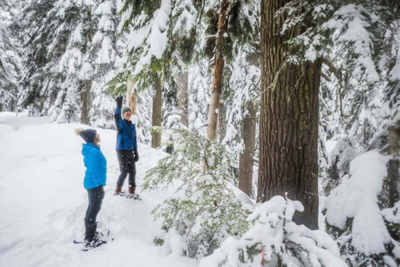 Portland: Mt. Hood Snowshoe Adventure with Lunch - FAQs