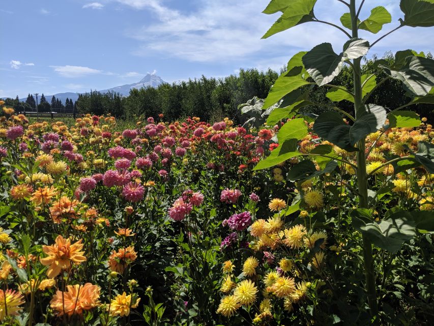 Portland: Multnomah Falls and Hood River Day Trip With Train - Key Points