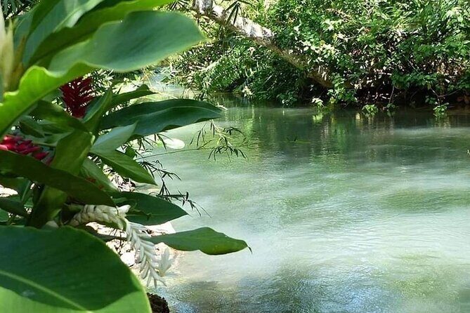 Portland Nature and Eco Tour Experience - A Deep Dive into the Portland Nature and Eco Tour