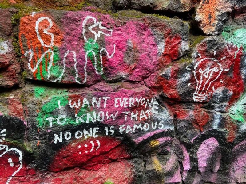 Portland Oregon: Forest Park Guided Hike with Witches Castle - Key Points