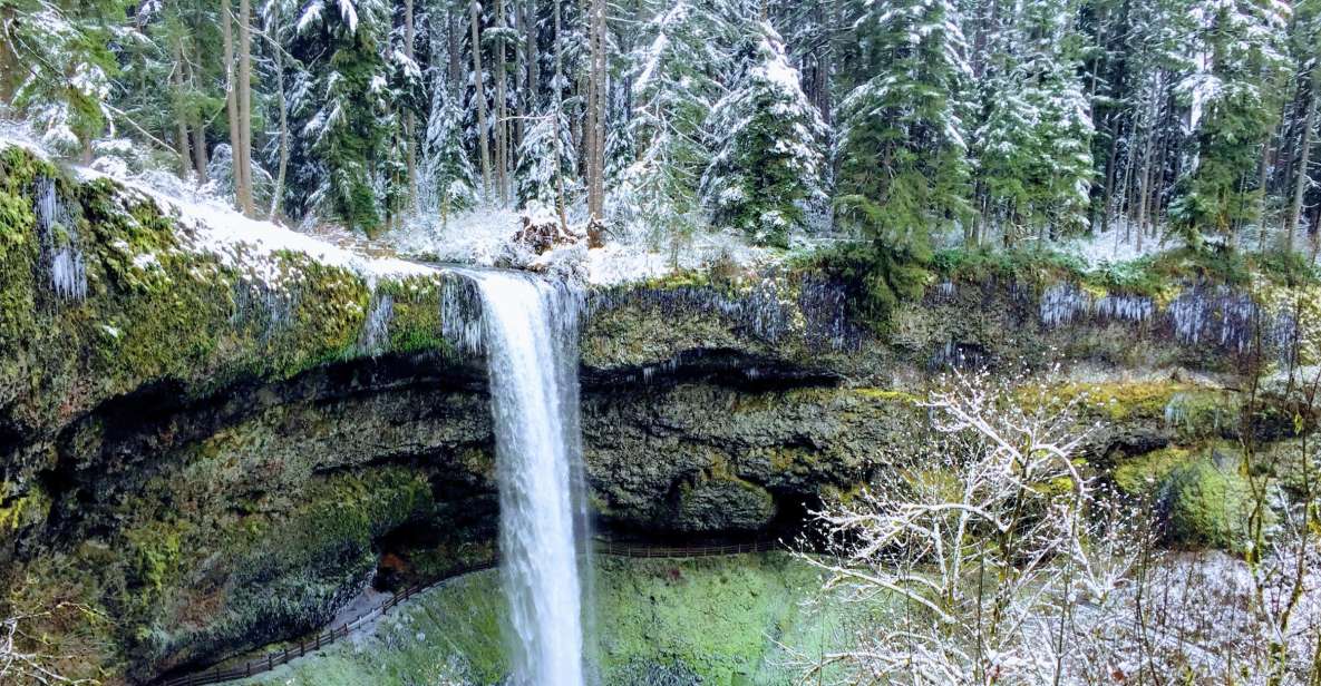 Portland: Silver Falls Hike - Inclusions and Requirements