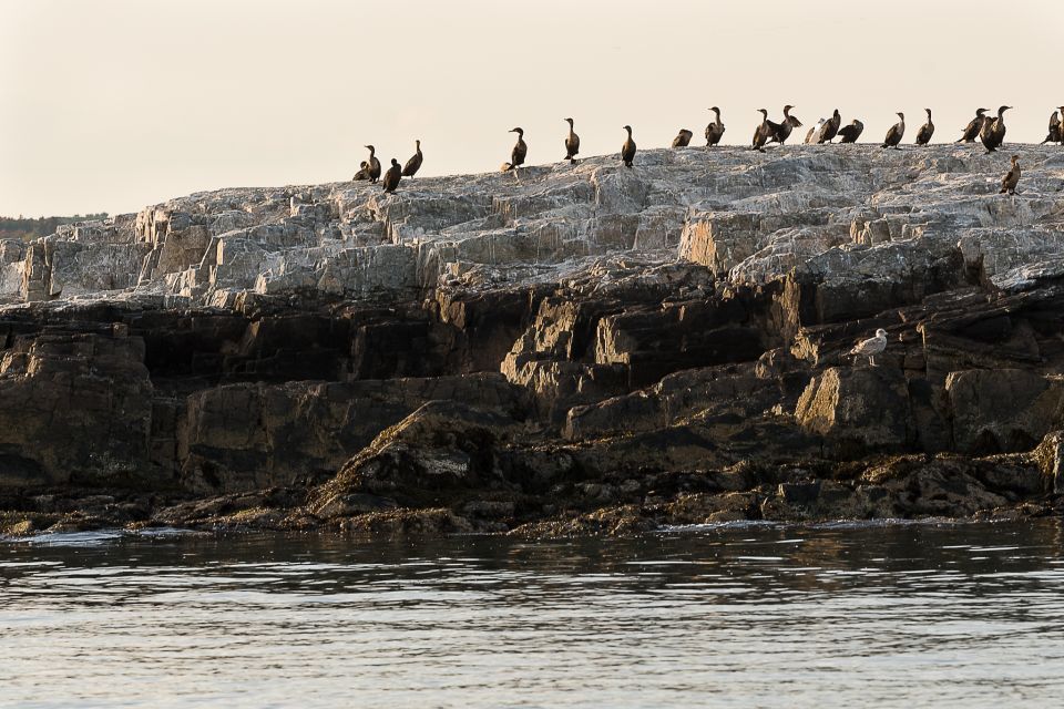 Portland: Sunset Lighthouse Cruise in Casco Bay With Drinks - Recap
