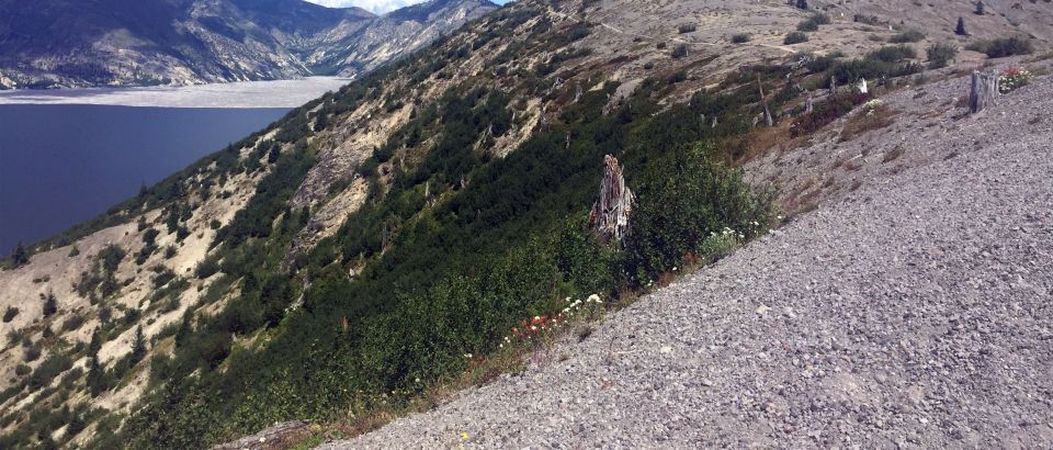 Portland: The Mt. St. Helens Adventure Tour - Highlights of the Tour