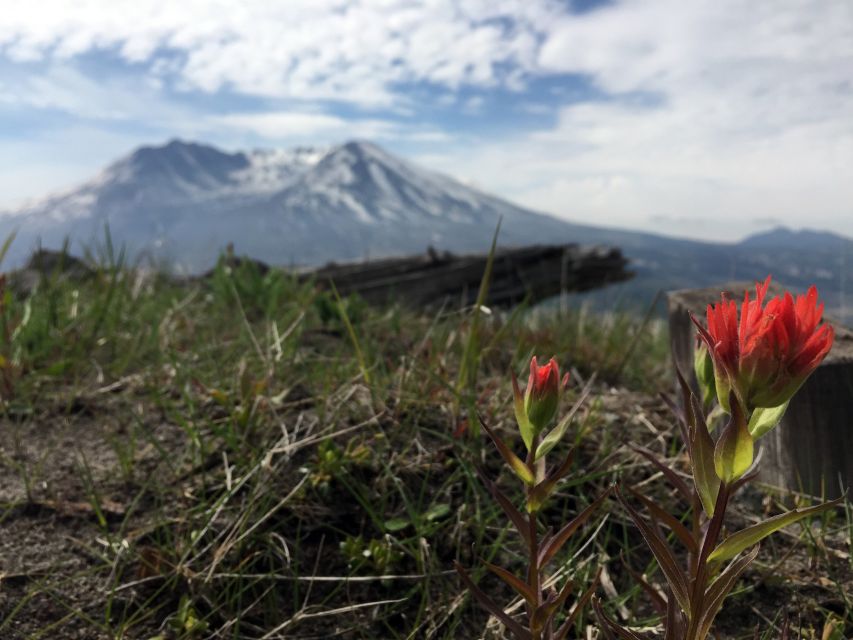 Portland: The Mt. St. Helens Adventure Tour - Hearing the Tour Guide