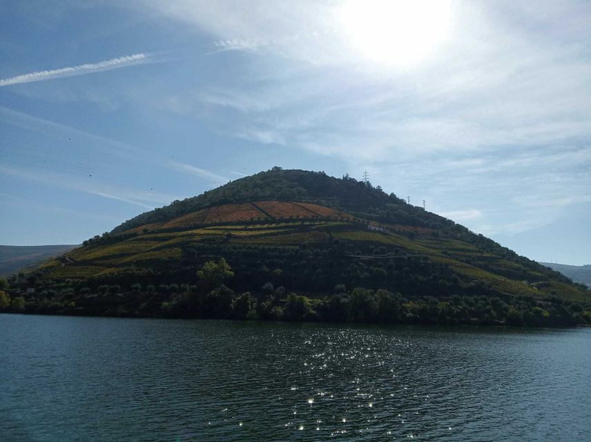 Porto: 2 Douro Valley Wineries Day Trip With River Cruise - Key Points