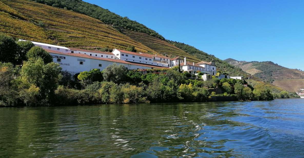 Porto: 2 Douro Valley Wineries Day Trip With River Cruise - Experience Highlights