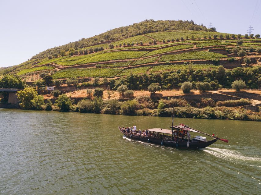 Porto: 2 Douro Valley Wineries Day Trip With River Cruise - Inclusions