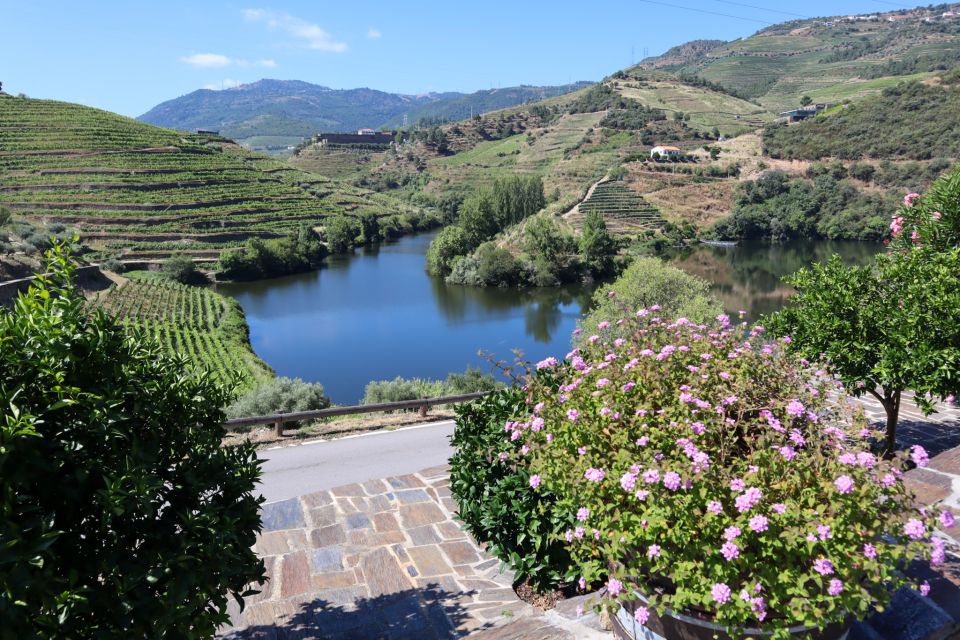 Porto: 2 Douro Valley Wineries Day Trip With River Cruise - Booking and Reservations