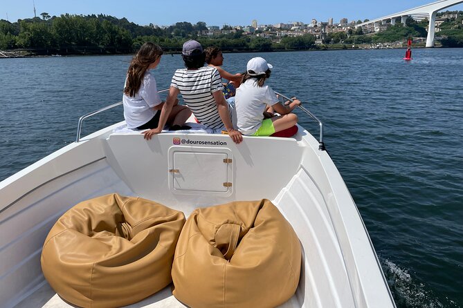 Porto: 2h Private Tour (1 to 6 People) on the Douro River With a Local - Experience With a Local Guide