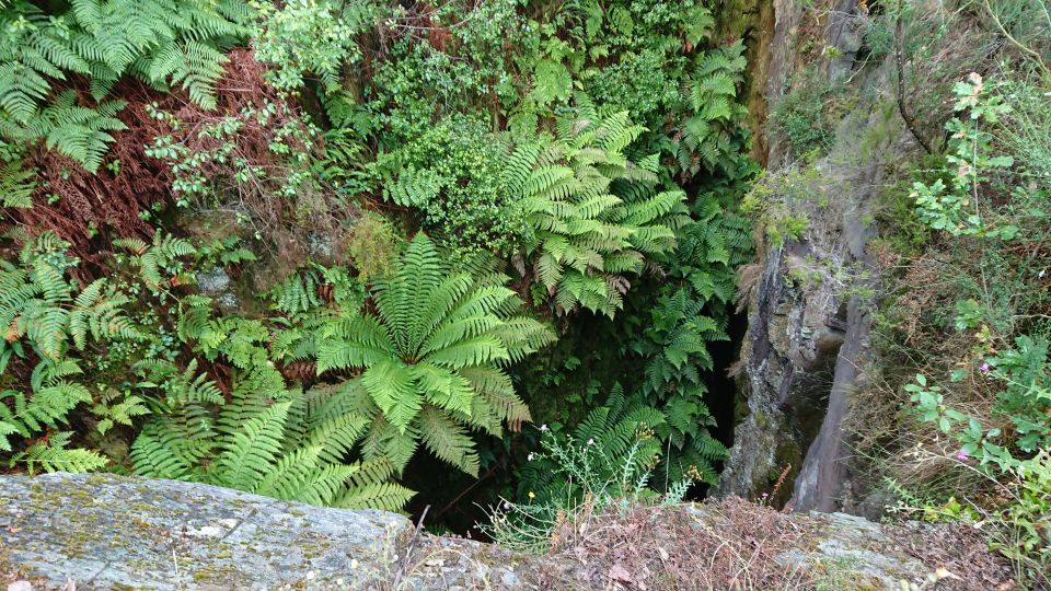 Porto: 4x4 Mountain Tour - Tour Duration and Schedule