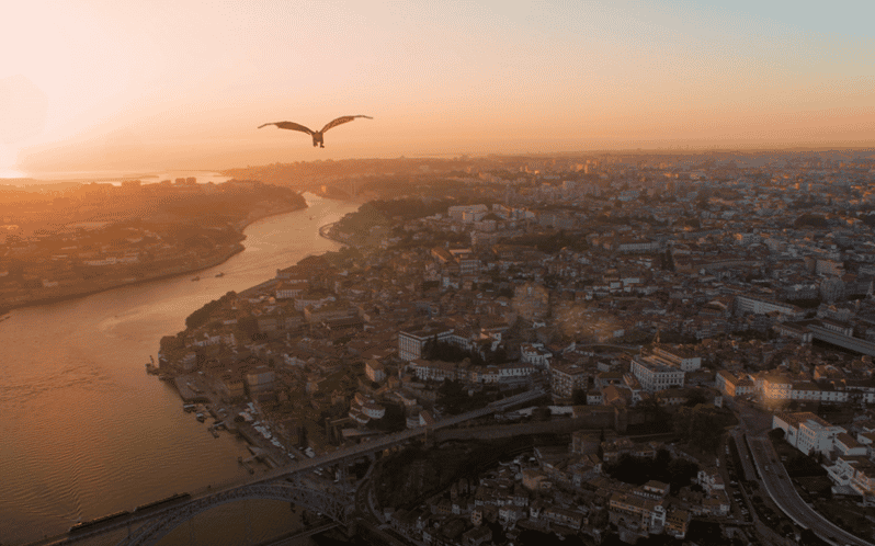 Porto: 5D Flight over de City for all family. - Practical Tips for Visitors  