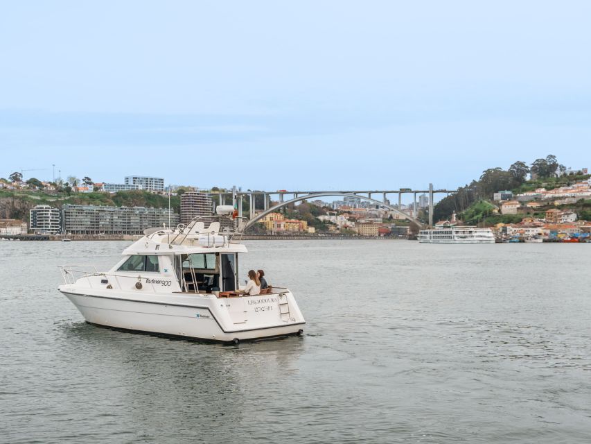 Porto: 6 Bridges City Cruise With Sunset Option - Douro River and Panoramic Views