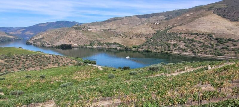 Porto ao Douro melhor experiência vinho e comida Portuguesa - Who Will Love This Tour?