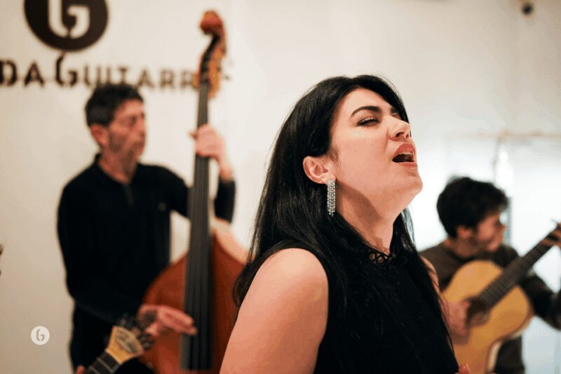Porto: Authentic Fado Show, Port Wine & Handmade Instruments - Overview and What to Expect  