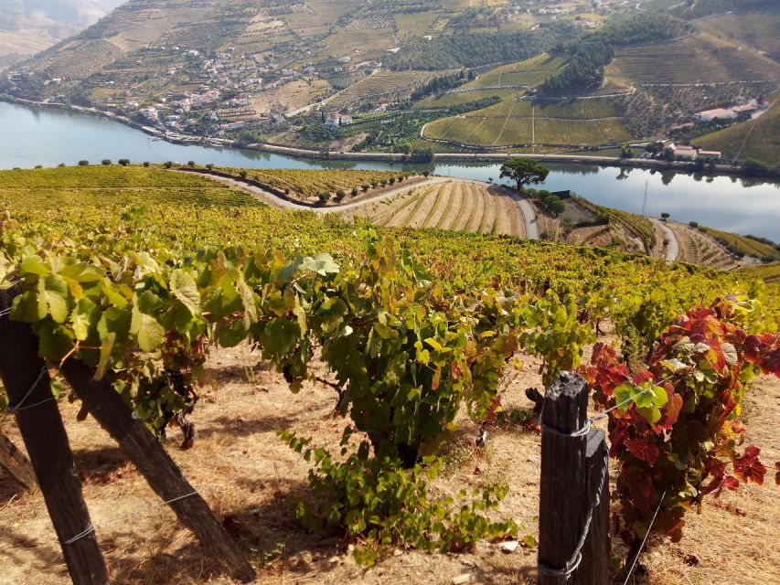 Porto: Authentic Private Douro Valley Tour - Expert Guide